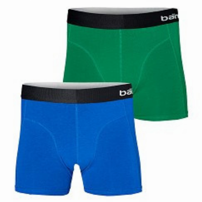 2 pak heren boxer Apollo Bamboe groen blauw-XL