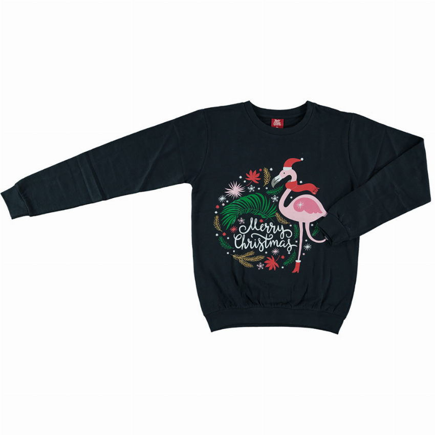 Apollo Apollo Dames Foute Kersttrui Blauw