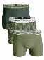 Bj rn Borg Ess Cotton Shorts - 3 pack Groen