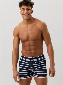 Bj rn Borg Swim Shorts - Sandro bb single stripe night s