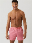 Bj rn Borg Swim Shorts - Scott Rood