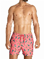 Bj rn Borg Swim Shorts - Sylvester Rood