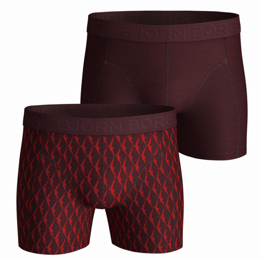 Bjorn Borg Boxershorts Wingspan 2-pack