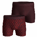 Bjorn Borg Boxershorts Wingspan 2-pack