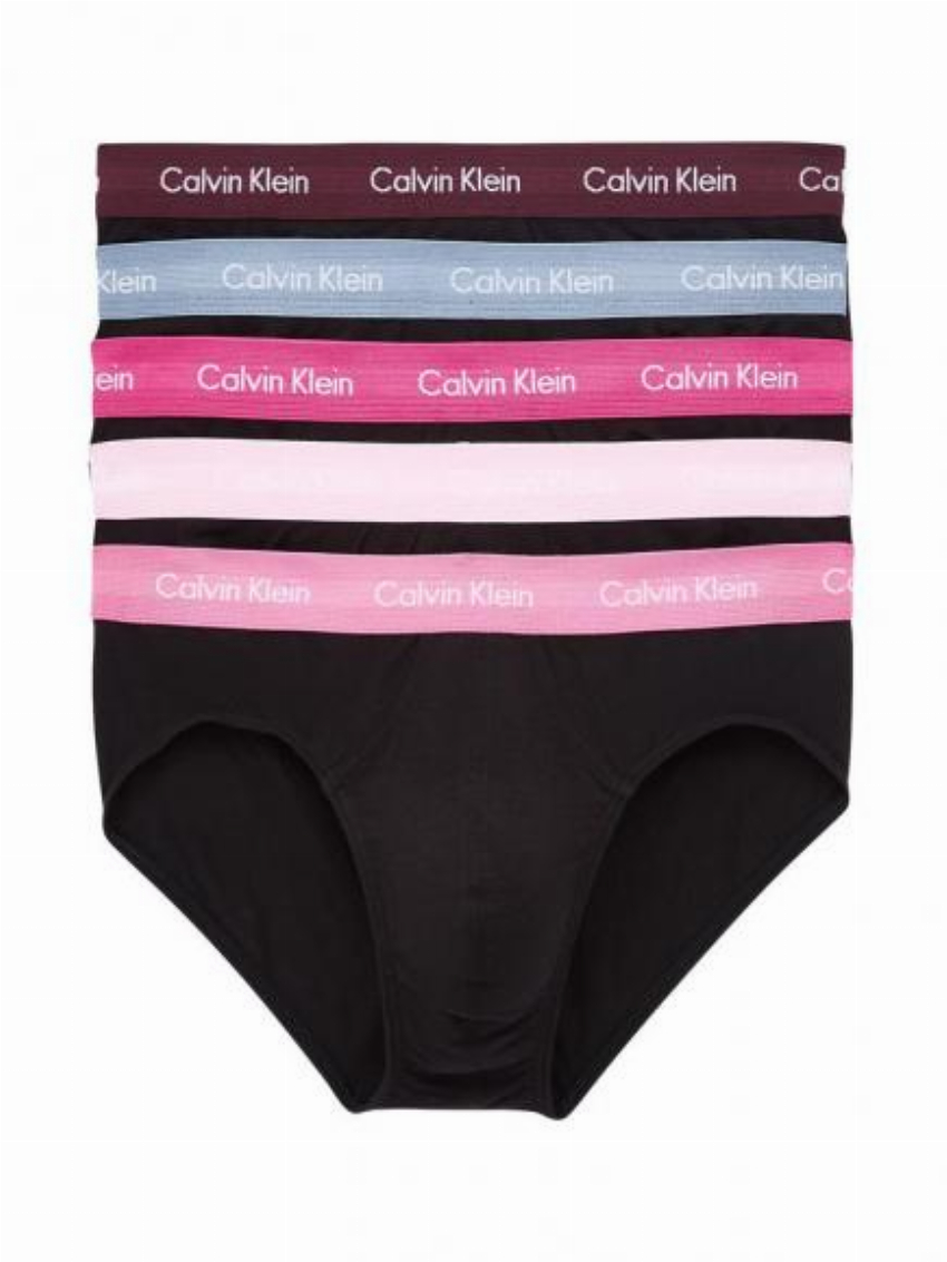 Calvin Klein 5p Hip Brief - Cotton Stretch wgi