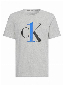 Calvin Klein T-shirt - CK One Graphic Grijs