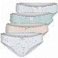 Happy Shorts Happy Shorts Dames Slips 4-Pack D693