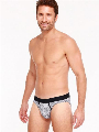 HOM Micro Briefs - Paul Blauw