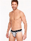 HOM Micro Briefs - Paul Blauw