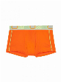 HOM Training - Trunk Oranje