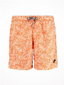 Shiwi Zwemshort 2-tone Leaves Oranje