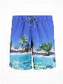 Shiwi Zwemshort Beach multi color