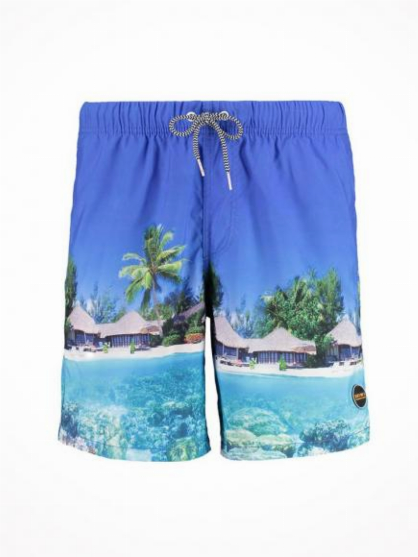 Shiwi Zwemshort Beach multi color