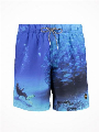 Shiwi Zwemshort Diver multi color