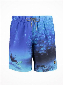 Shiwi Zwemshort Diver multi color