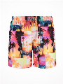 Shiwi Zwemshort Miami Beach multi color