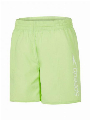 Speedo Challenge 15 Watershort Groen