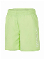 Speedo Challenge 15 Watershort Groen