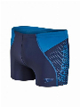 Speedo E10 Logo Panel Aquashort Blauw