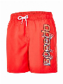 Speedo Graphic Leisure 15 Rood