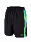 Speedo Logo Yoke Splice Watershort Groen