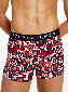 Tommy Hilfiger Trunk - Print cut clash