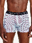 Tommy Hilfiger Trunk - Print flag diagonal