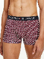 Tommy Hilfiger Trunk - Print iso flag