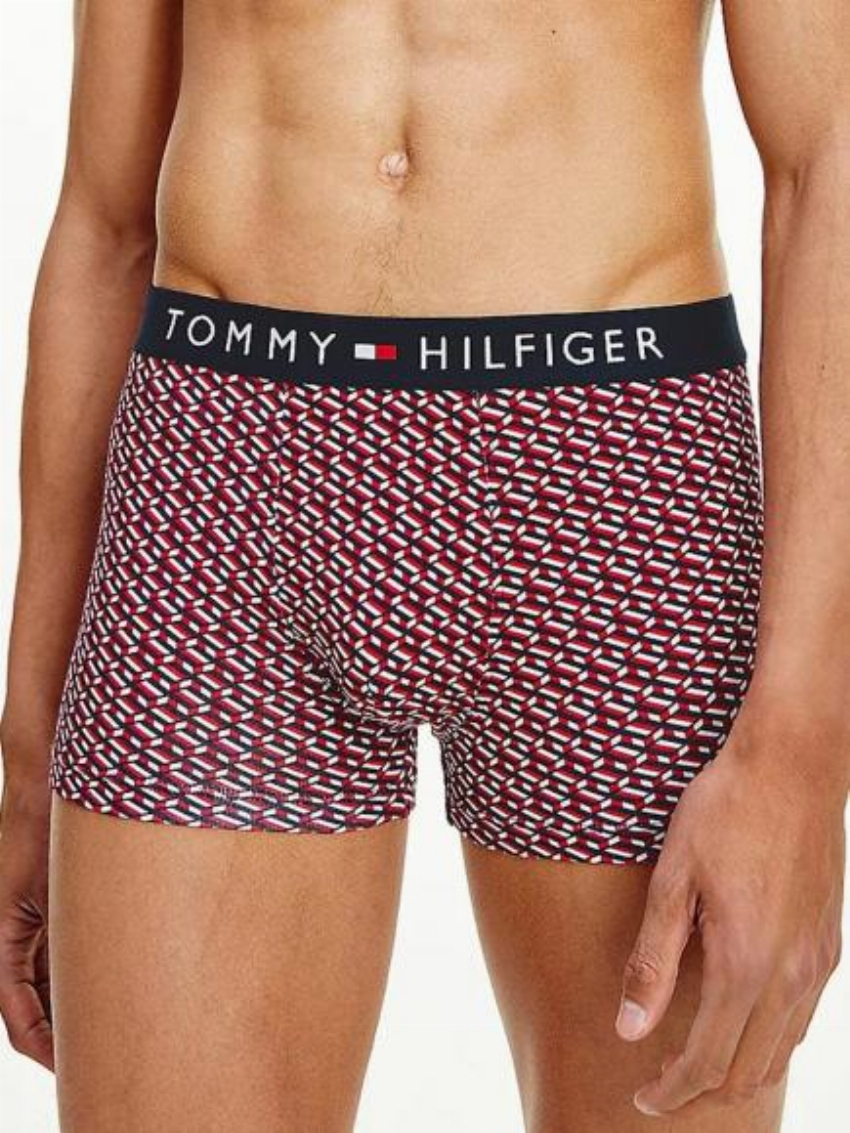 Tommy Hilfiger Trunk - Print iso flag