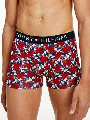 Tommy Hilfiger Trunk - Print patchwork stars