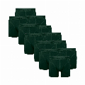 Zaccini 12-pack deep dark green tone in tone